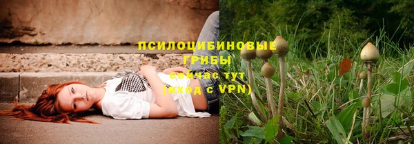 сатива Нефтекумск
