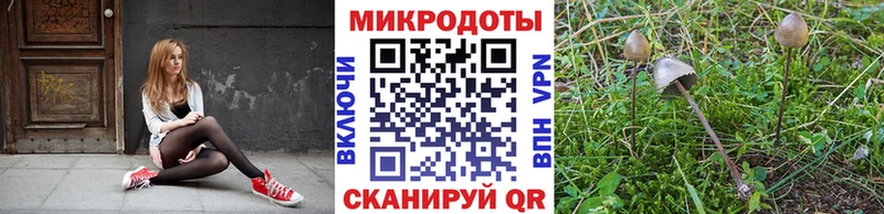 Галлюциногенные грибы Psilocybine cubensis  сайты даркнета телеграм  Усть-Катав  купить  